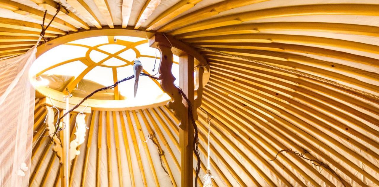 2 Cuori E 1 Yurta Glamping In Tuscany - Adults Only Asciano Dış mekan fotoğraf